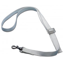 Couple of belt tensioners