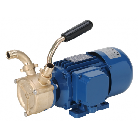 LIVERANI EP 40 pump for transferring water, oil, diesel fuel 24 V