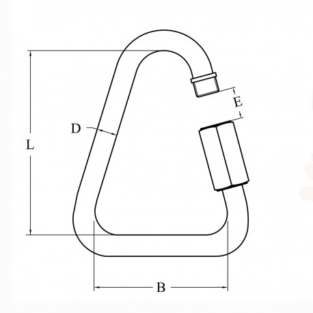 Delta ring van roestvrij staal Aisi 316 met schroefopening