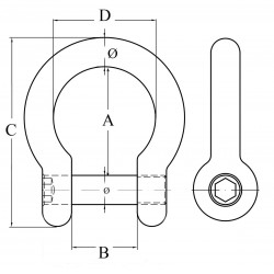 AISI 316 stainless steel shackle with hexagon socket pin 2