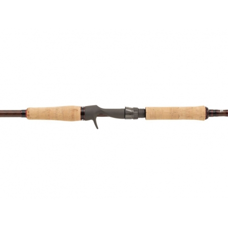 Abu Garcia Beast PRO 702XH Power Pike casting rod 50/150 gr.