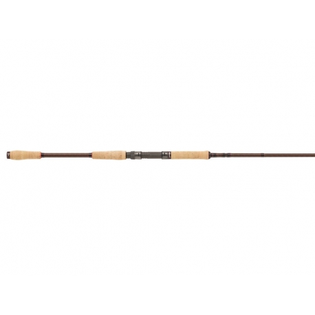 Abu Garcia Beast PRO 802H Allr Pike casting rod 40/100 gr.