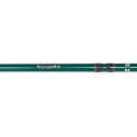 Abu Garcia Beast X 862XXH Pike casting rod 70/250 gr.