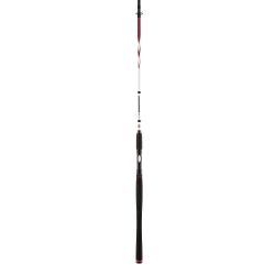 PENN Squadron II SW 304 spinning rod 20/80 gr. 2