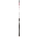 PENN Squadron II SW 304 spinning rod 20/80 gr.