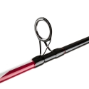 PENN Squadron II SW 304 spinning rod 20/80 gr.