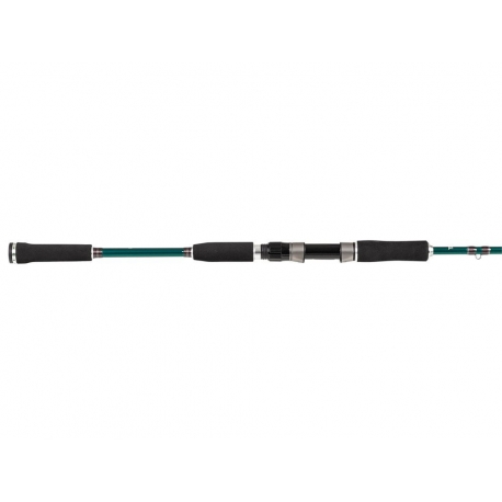 Abu Garcia Beast X 792H Pike spinning rod 40/80 gr.