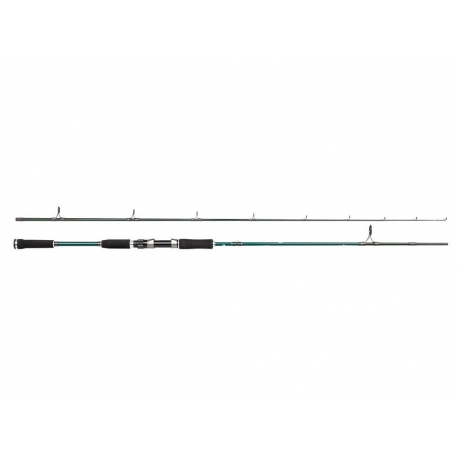 Abu Garcia Beast X 862XH Pike spinning rod 40/140 gr.