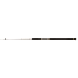 PENN Legion Cat Gold 245XH canna da spinning 50/175 gr. 2