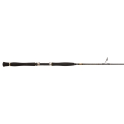 PENN Legion Cat Gold Belly Pump 168XXH canna da spinning 200 gr. 2