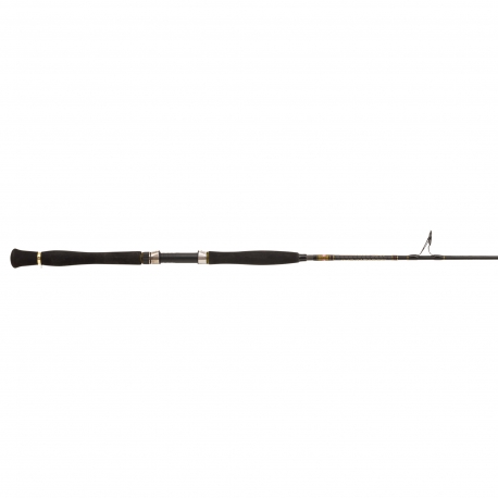 PENN Legion Cat Gold Belly Pump 168XXH spinning rod 200 gr.