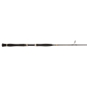 PENN Legion Cat Gold Belly Pump 168XXH spinning rod 200 gr.