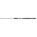 PENN Legion Cat Silver 210XH spinning rod 40/160 gr.