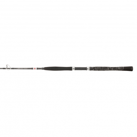PENN Legion Cat Silver Belly Pump 175XXH spinning rod 200 gr.