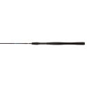 PENN Wrath 7'M spinning rod 10/40 gr.
