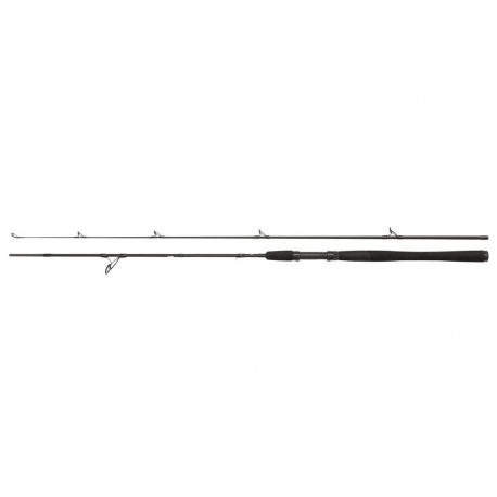 PENN Wrath 10'H spinning rod 20/80 gr.