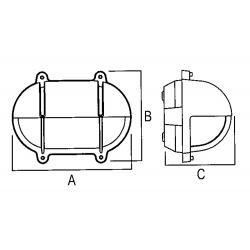 Oval mässingssköldpadda 2
