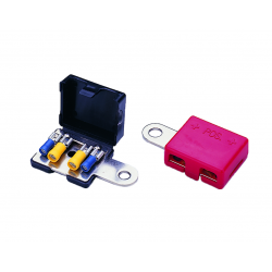 Pair of battery terminals