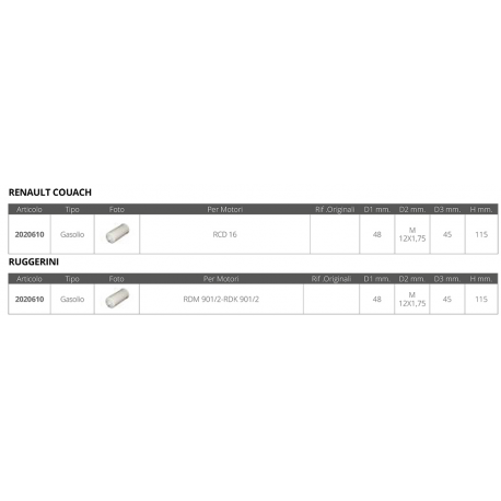Diesel filter renault ruggerini