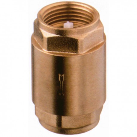 Brass check valve