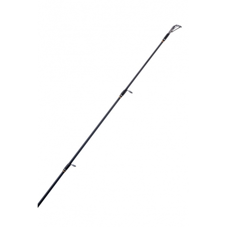 Akami Toyama 2.55H spinnng rod 20/60 gr.