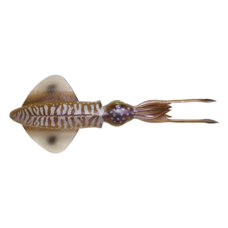 Savage Gear 3D Swim Squid 12.5 Artificial Squid