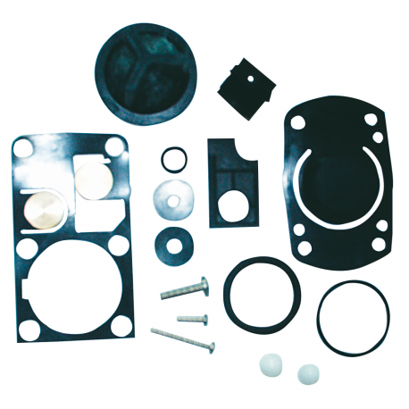 Seals and valves kit for pump with grey handle - Jabsco