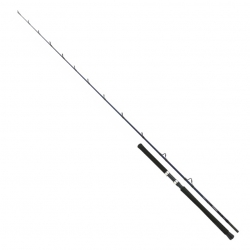 Shimano Technium Boat Slim Braid 7'11" bodemhengel 20/30 LBs