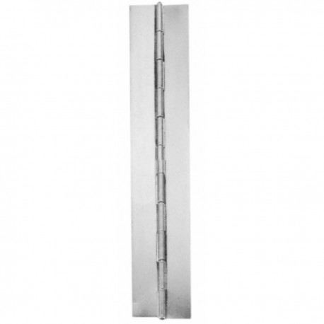 Non-drilled stainless steel strip hinge, mirror polished