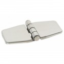 Hinge with AISI 316 stainless steel cover - Dimensions 76 x 37