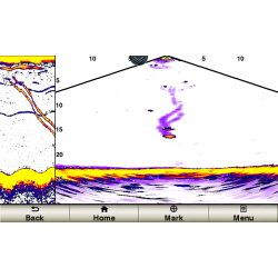 Panoptix PS 30 Down-transducer 2