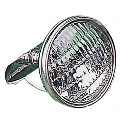 Adjustable 24 V stainless steel spotlight