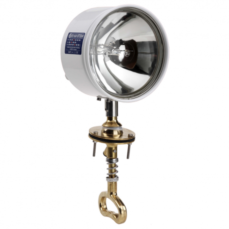 24 V adjustable spotlight in polished brass - Den Haan Rotterdam
