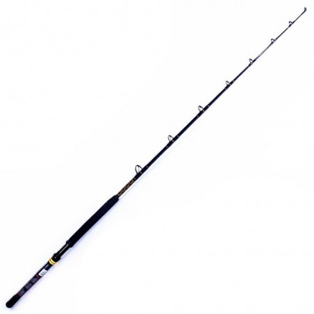 PENN Ally Boat 20/50 LBs big game rod 5'6''