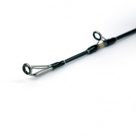 TYRNOS B TROLLING LITE 6