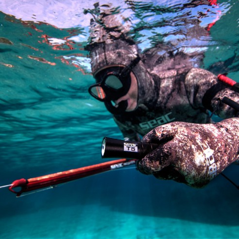 Torcia sub T5 300 lumen - Seac