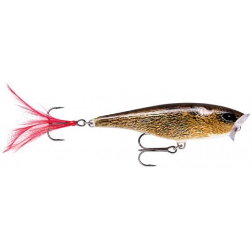 Rapala Skitter Pop 05 6-gram artificial lure.