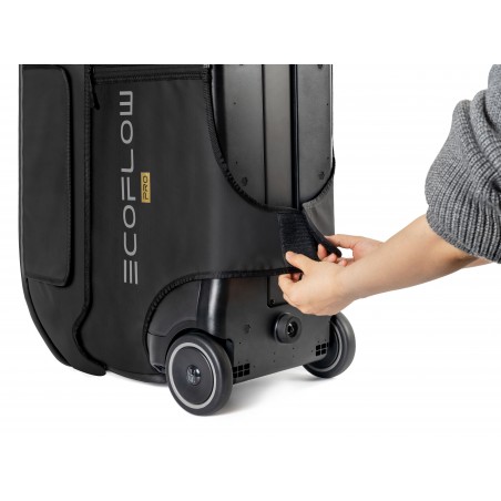 Tas voor EcoFlow Delta Pro