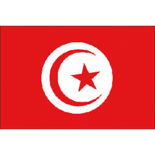 Tunisisk tygflagga - Adria Bandiere
