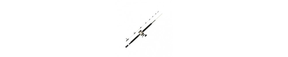 Fishing rod with reel - Buy online