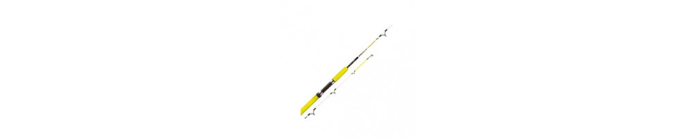 Boat fishing rod - Buy online | HiNelson