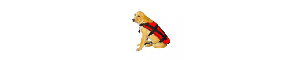 Dog Lifebuoy - Buy the best products | HiNelson