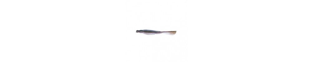Baits for royal perch - Buy online | HiNelson