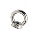 Stainless steel eyebolt