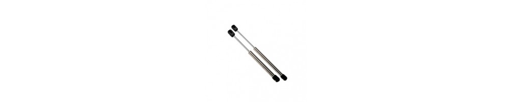 Gas spring plungers - Discover our selection | HiNelson